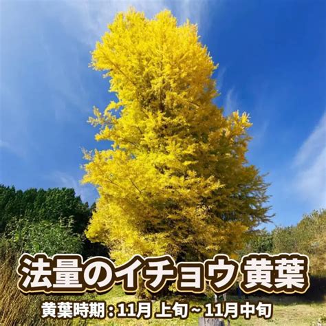 山丙|株式会社山丙 (青森県十和田市)の企業情報